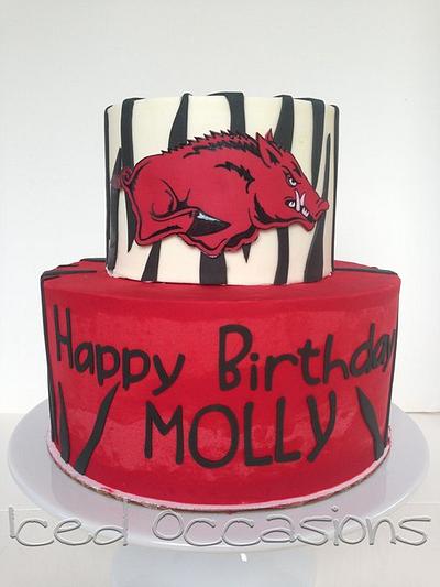 Arkansas Razorbacks Birthday Cake - Cake by Morgan