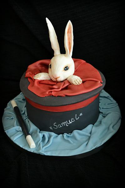 Magicians hat cake complete with white bunny - Cake by YvonneD