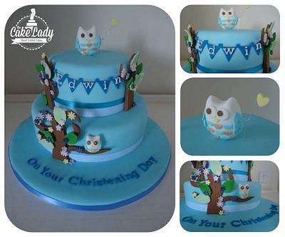 Owl Christening Cake - Cake by The Cake Lady