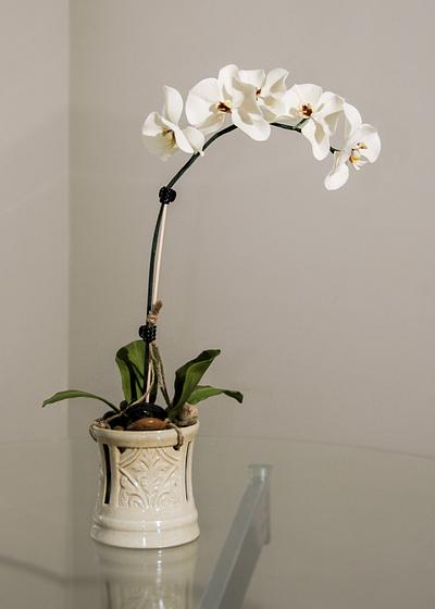 Orchid Blooms - Cake by Leyda Vakarelov
