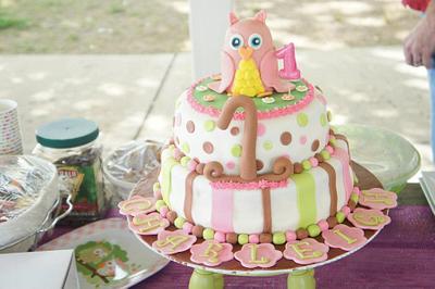 Owl First Birthday Cake and smash cake - Cake by Dejah84