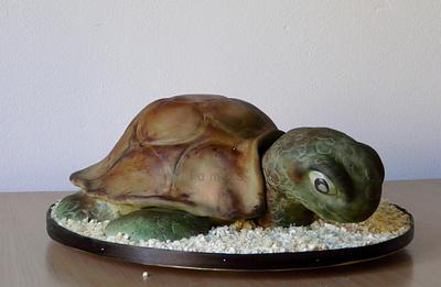 Turtle Žofia - Cake by lamps