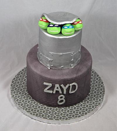 TMNT cake - Cake by soods