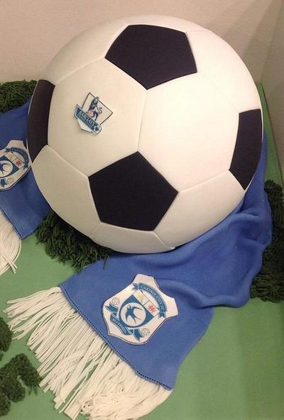 Soccer cake - Cake by Sue