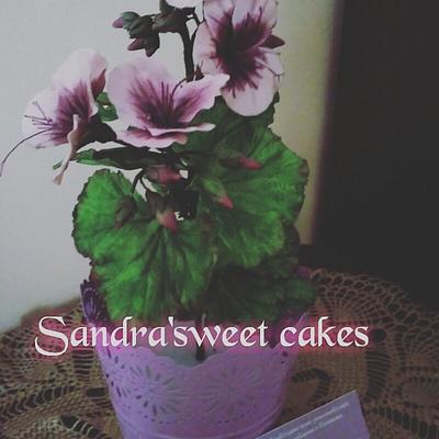 Fiori - Cake by Sandra Romeo