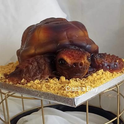 turtle cake  - Cake by Ewa