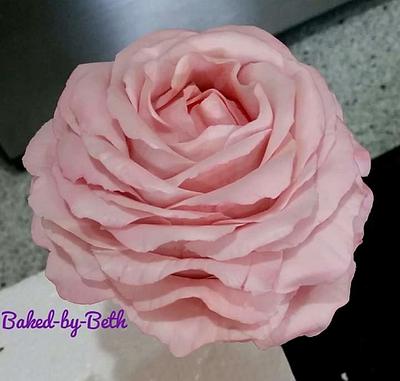 Freeform Rose - Cake by BakedbyBeth