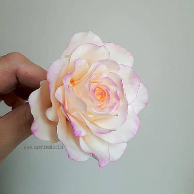 Blush Sugar Rose - Cake by Sweet Creations