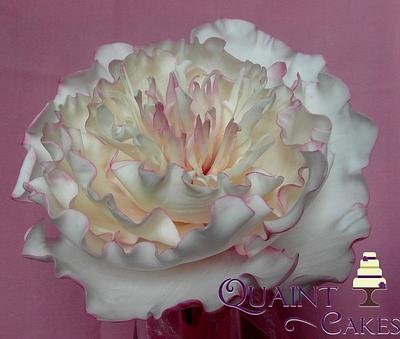 Fringed Peony - Cake by Janet Henderson