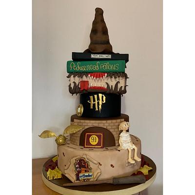 Harry Potter Cake  - Cake by Tania Chiaramonte 