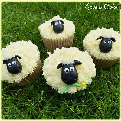 Sheepish Cupcakes - Cake by Helen Geraghty
