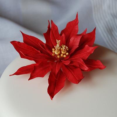 Poinsettia Christmas cake - Cake by The Sweet Life Bakes