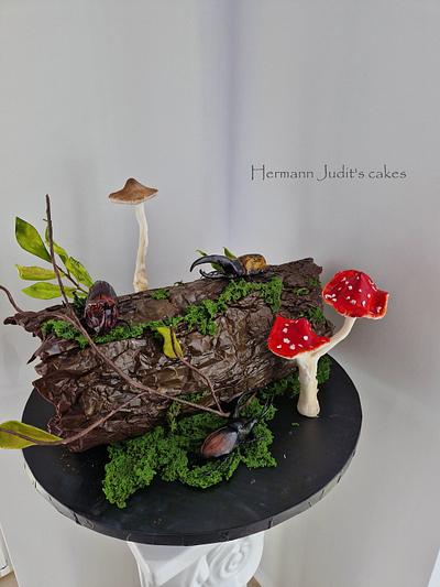 Beetle cake - Cake by Judit