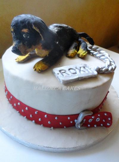 Rottweiler birthday cake - Cake by mallorcacakes