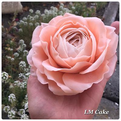 Peach English rose - Cake by Lisa Templeton