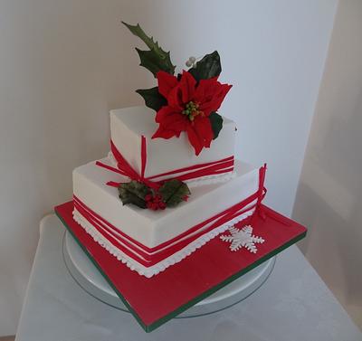 Christmas Cake - Cake by Fifi's Cakes