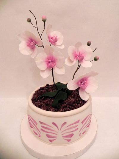 Cake sugar orchid in a flowerpot - Cake by Victoria