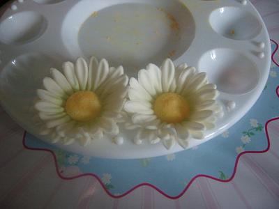 Daisys - Cake by ladyfaeuk
