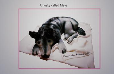 A husky called Maya - Cake by Summers Little Bakery