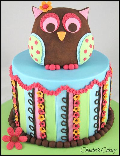 Colourful Owl Cake - Cake by Chantel's Cakery