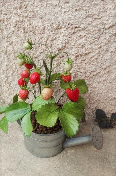 Strawberries - Cake by babkaKatka
