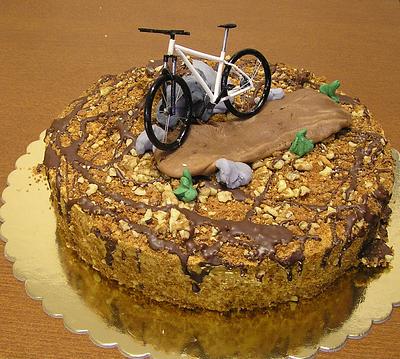 Bike - Cake by Anka