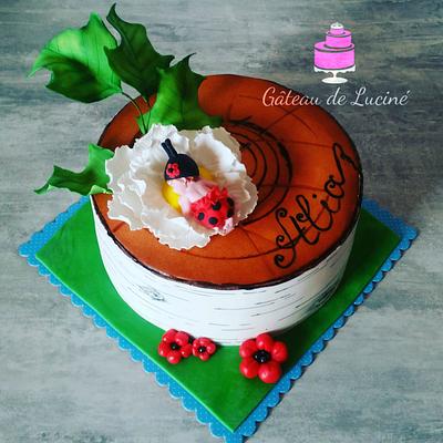 Ladybug baby shower cake - Cake by Gâteau de Luciné