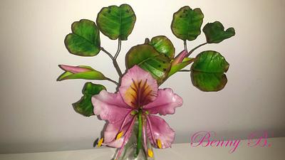 Bauhinia-little tropical beauty - Cake by Benny's cakes