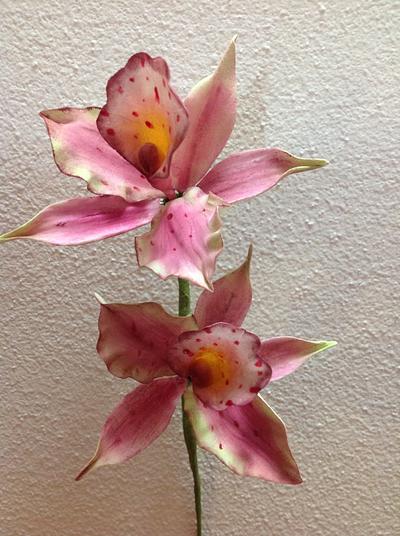 Cattleya orchid - Cake by Piro Maria Cristina