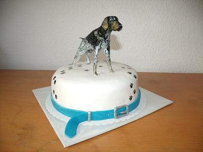 dog cake- German Wirehair - Cake by Makina