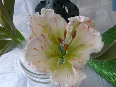pepermint tulips  - Cake by gail