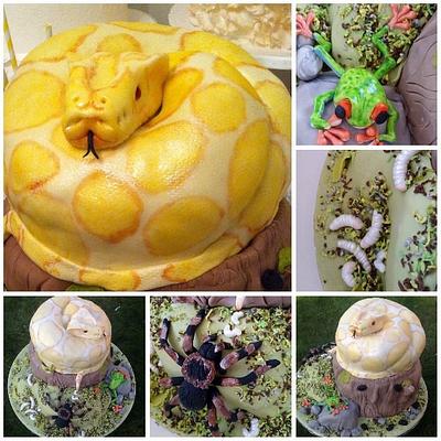 Tickety Boo Cakes - Snake on a log - Cake by Tickety Boo Cakes