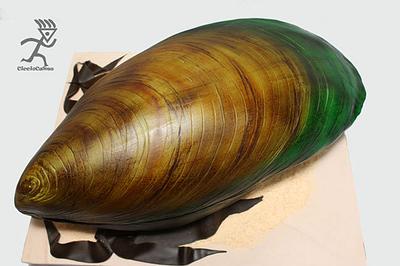 New Zealand Green Lipped Mussel 3D Cake 20" - Cake by Ciccio 