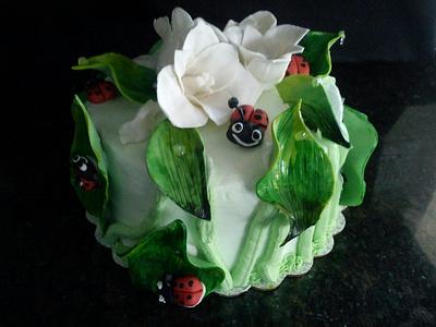 Lady bug cake - Cake by Araina