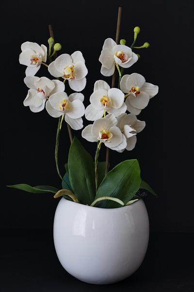 Gumpaste White orchid - Cake by LaBella