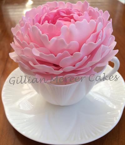 Pink peony - Cake by Gillian mercer cakes 