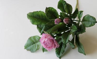 Small roses - Cake by  Alena Ujshag