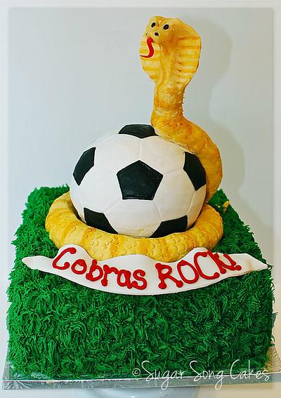 Soccer Team Cake  - Cake by lorieleann