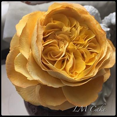 Jayne Austin English Rose Cold Porcelain - Cake by Lisa Templeton