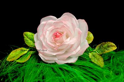 Wafer Paper Rose - Cake by ShrutisCakeAddiction