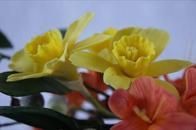 Daffodils - Cake by ClearlyCake