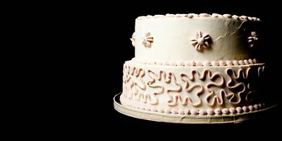 Jason's Vineyard grand opening cake - Cake by Marney White