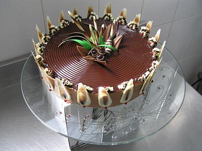 Chocolate cake - Cake by Todor Todorov