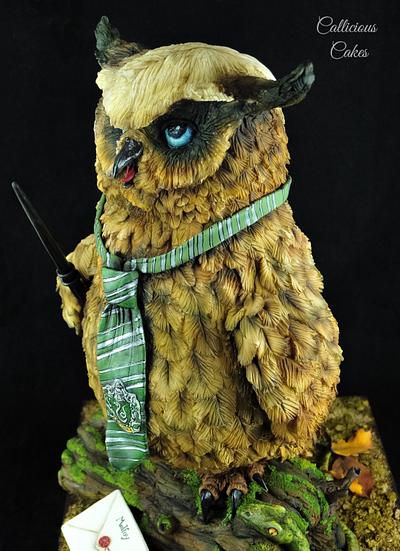 Potters Owls - Malfoy - Cake by Calli Creations