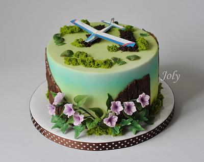 For aircraft modelers - Cake by Jolana Brychova