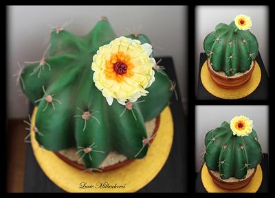 Cactus - Cake by Lucie Milbachová (Czech rep.)