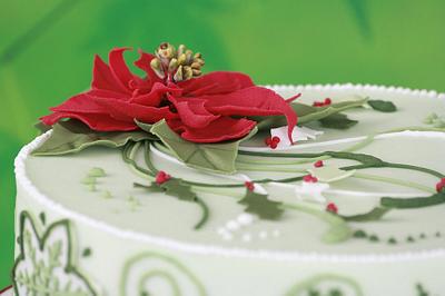 Christmas flower - Poinsettia  - Cake by ClareHarrison