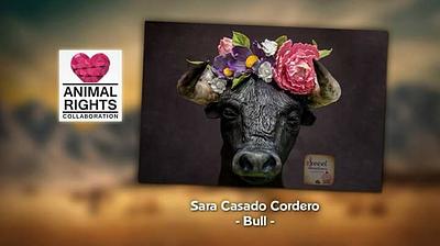 Bull Frida Kahlo - Cake by Sara Casado 