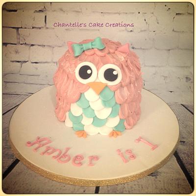 Owl smash cake  - Cake by Chantelle's Cake Creations