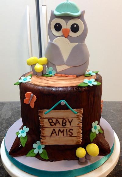 Owl Baby Shower Cake - Cake by Melanie Mangrum